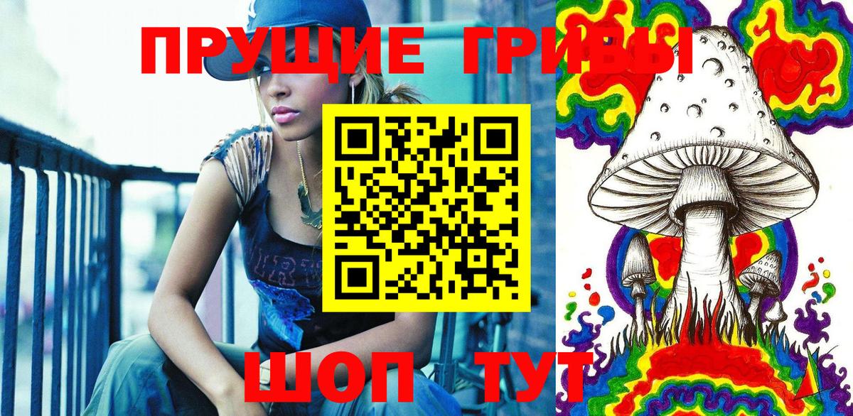Курганинск  Галлюциногенные грибы Cubensis  Вход с VPN 