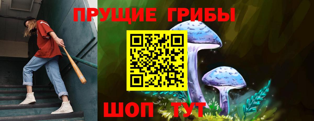 Галлюциногенные грибы ЛСД Курганинск